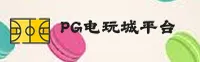使用指南与常见问题